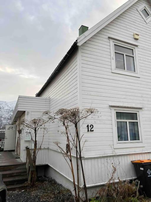 In The Heart Of The Aurora Borealis - Tromso City Buitenkant foto